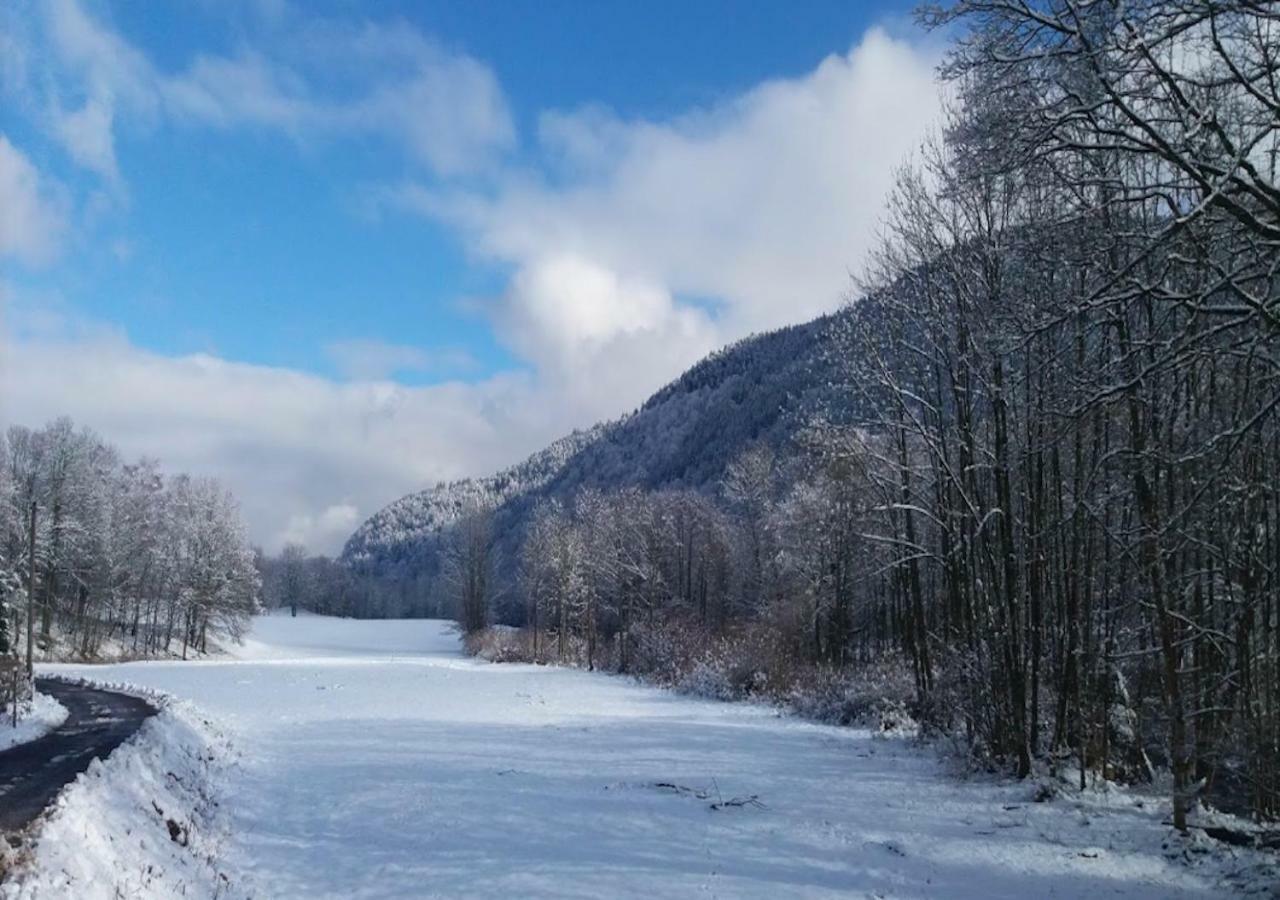 Naturezenkota Mittlach Kültér fotó