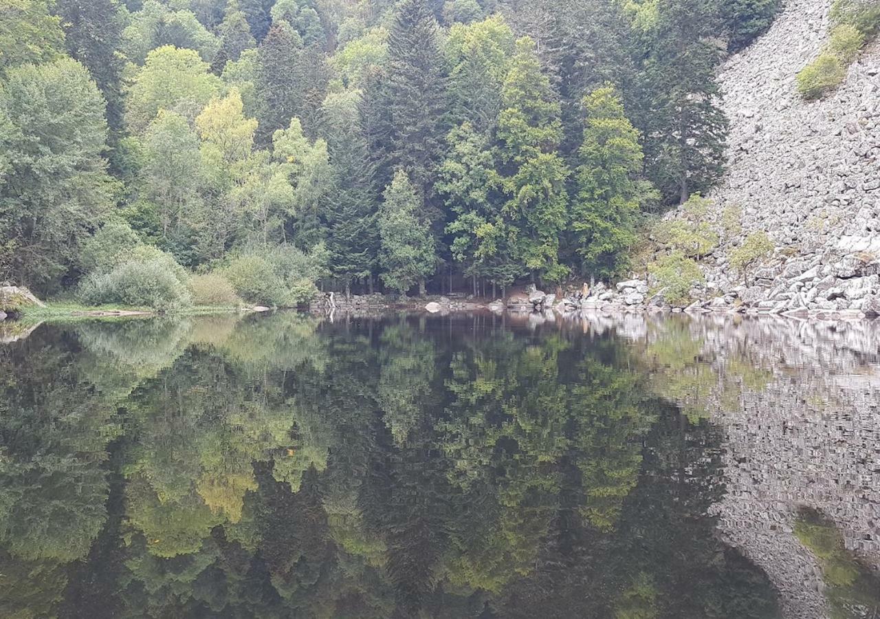 Naturezenkota Mittlach Kültér fotó